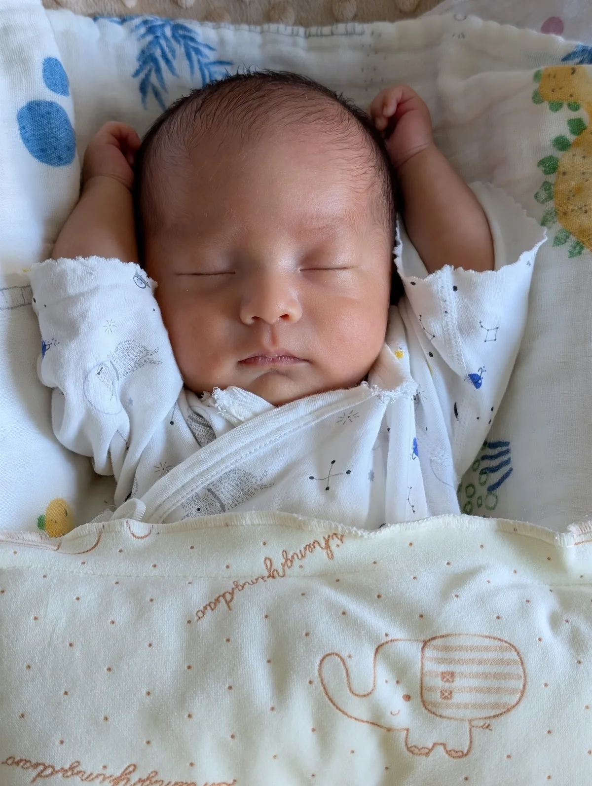 PXL_20251101_231000727