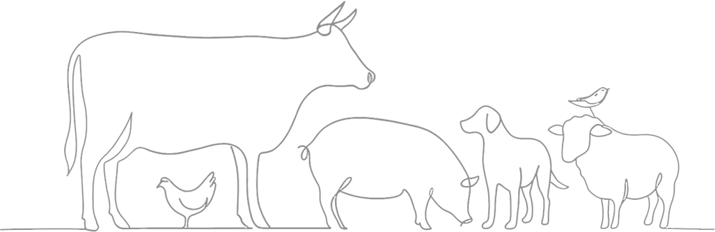 Linienart nicht-menschlicher Tiere, mit einer Kuh, Huhn, Schwein, Hund, Schaf, Vogel