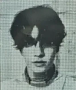 33