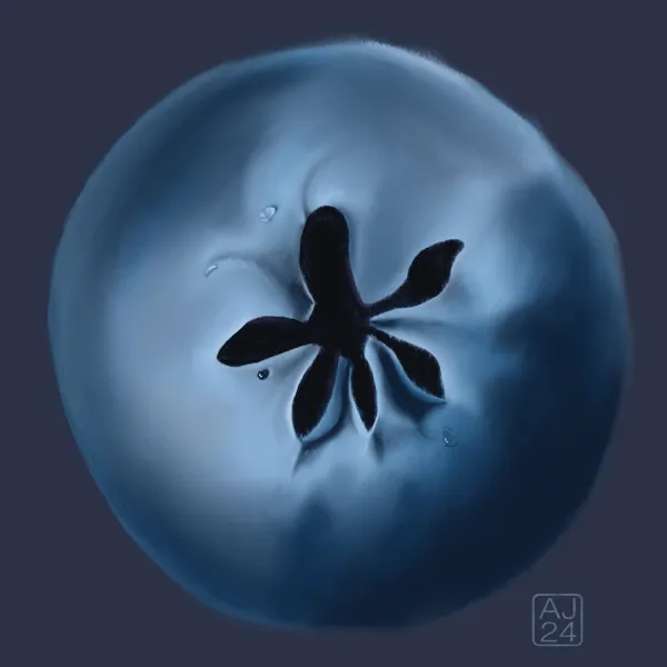 Digital drawing of a blueberry against a dark navy background