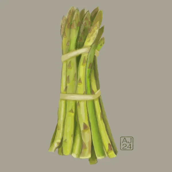 Digital drawing of a bunch of asparagus