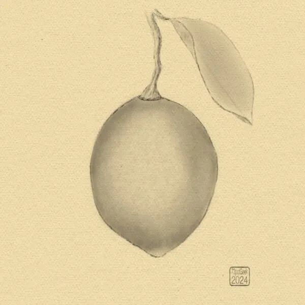 Digital pencil drawing of a lemon with a stem and a leaf