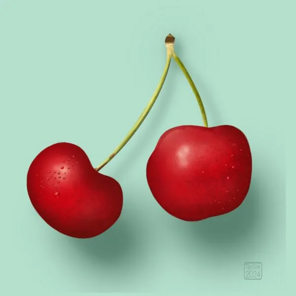 Digital drawing of a couple of red cherries connected by a wishbone shaped stem