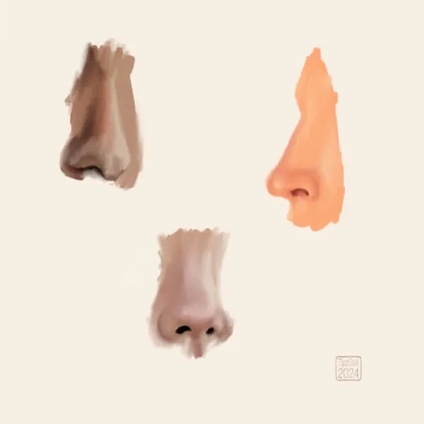 Digital painting consisting of studies of three different noses
