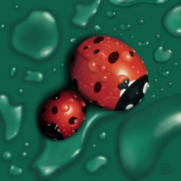 Digital drawing of two red ladybird bugs splattered with water droplets against a green background