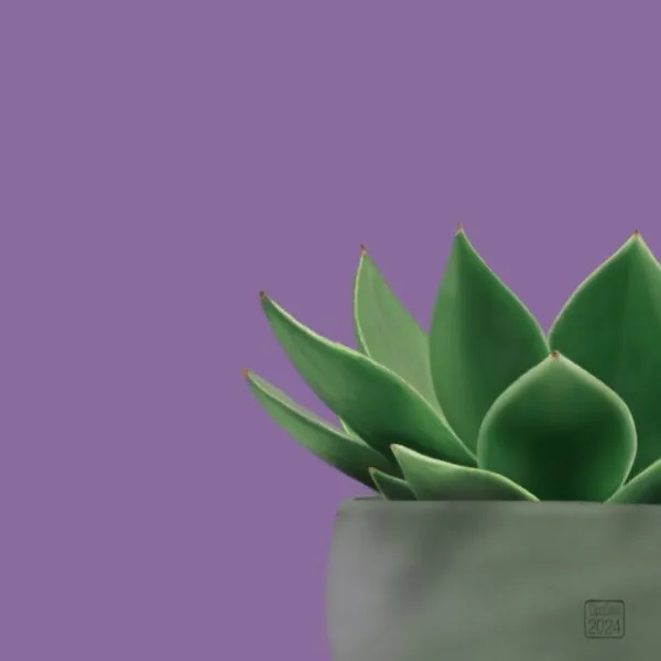 Digital drawing of a succulent in a grey pot against a purple background