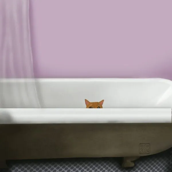 Digital drawing of an empty clawfoot bathtub with a transparent shower curtain resting in the tub, and a small orange cat peeking of the edge from inside the tub.
