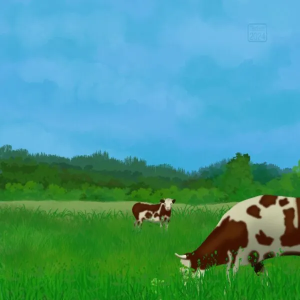 Digital drawing of a pasture with two cows, a treeline and hills in the background, against a blue and almost cloudless sky