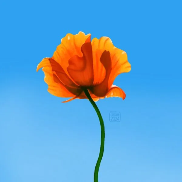 Digital drawing of an orange poppy, seen from below, stretching up against a blue sky