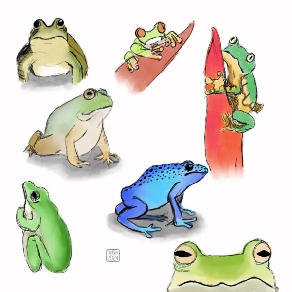 Digital ink and watercolour sketch of seven different frogs and toads