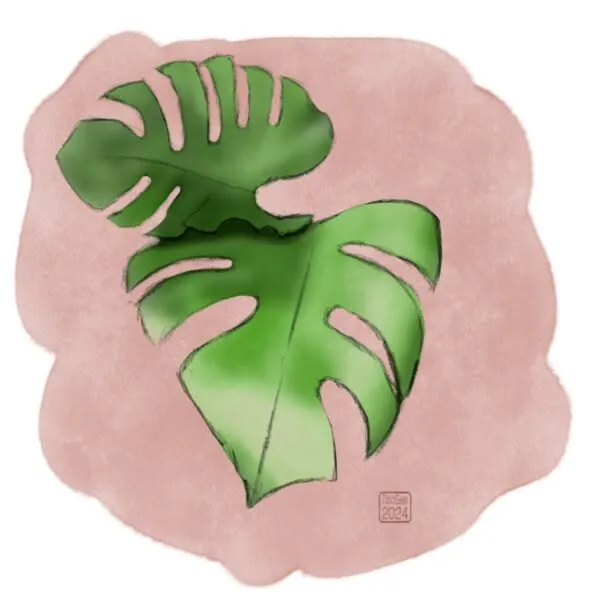 Digital pencil and watercolour sketch of two monstera leaves