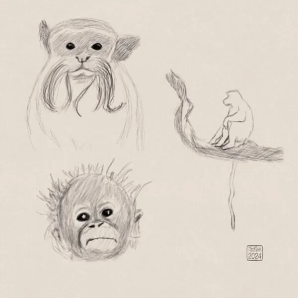 Digital pencil sketches of three different monkeys