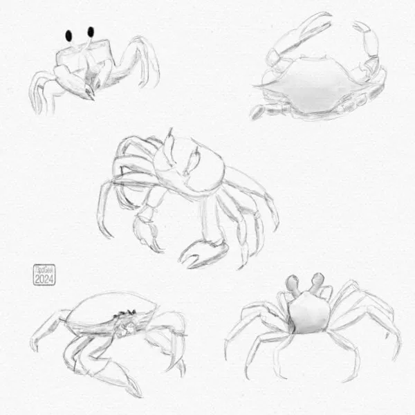 Digital pencil sketches of various types of crab