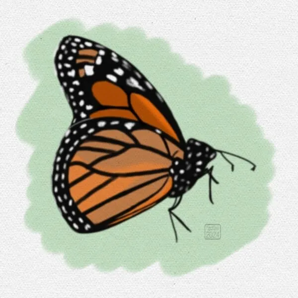 Digital painting of a monarch butterfly seen in profile