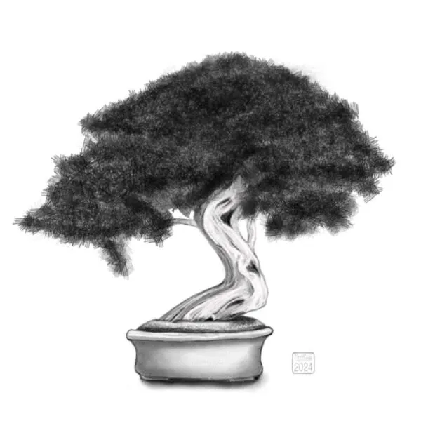 Digital penciI sketch of a bonsai tree in a pot