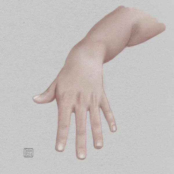 Digital colour study of a hand, palm facing down. 