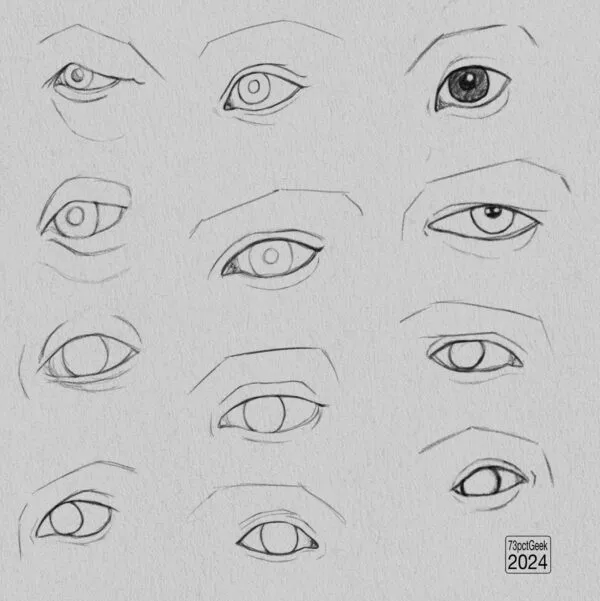 Digital graphite studies of 12 individual eyes.