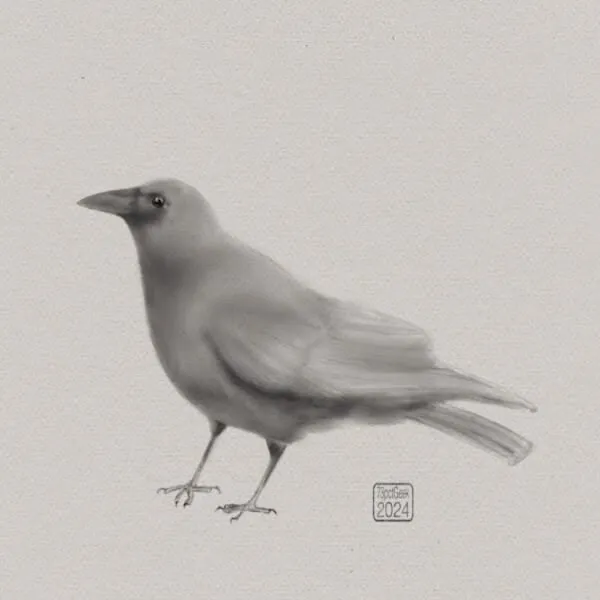Digital black and white pencil sketch of a crow.