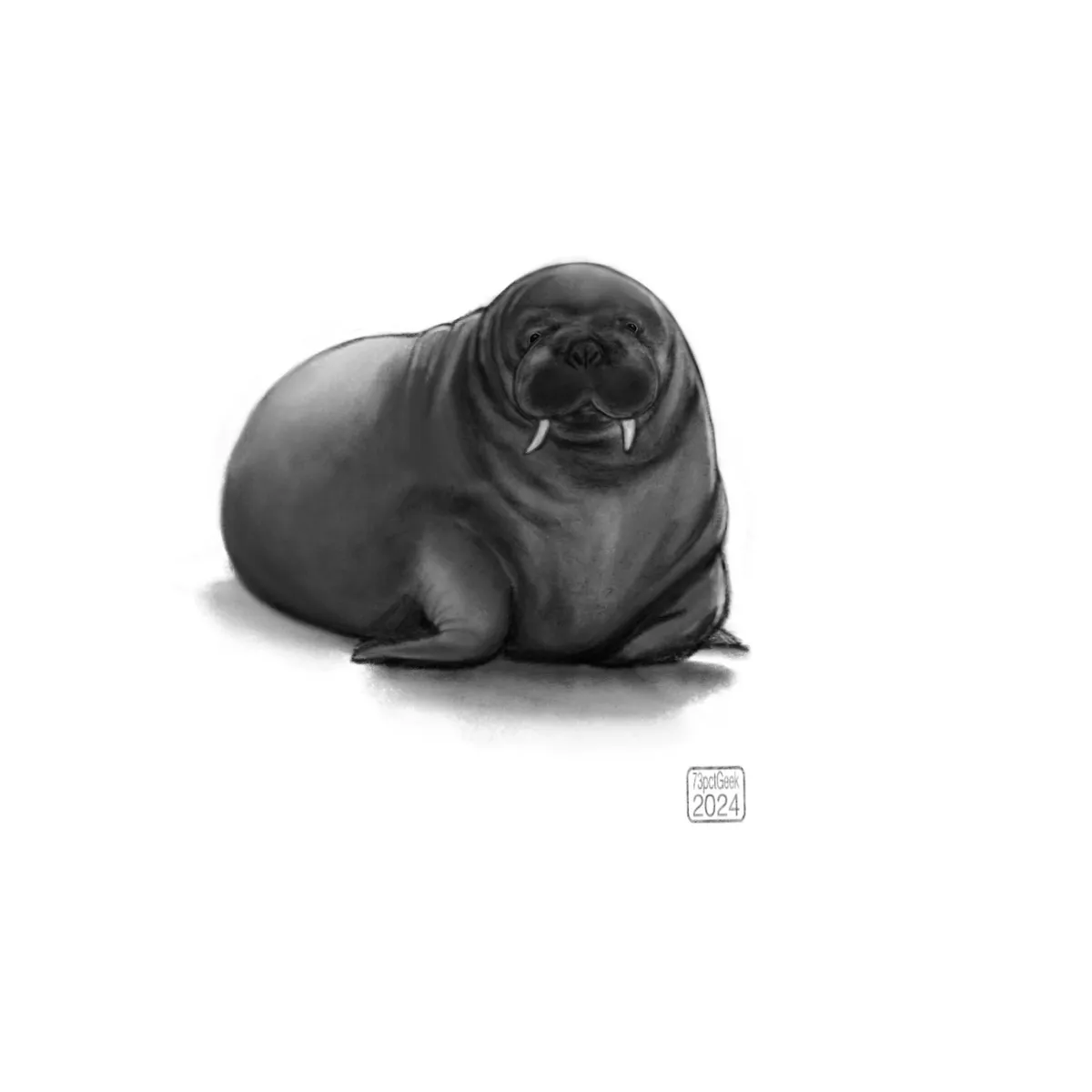 Digital pencil sketch of a walrus.