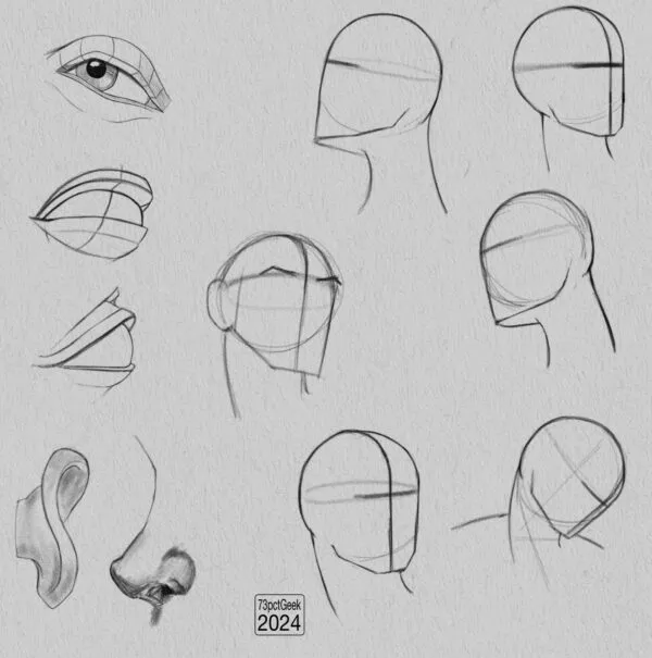 Digital graphite sketches of 6 different head lay-ins, a nose, an ear, and 3 different eyes.