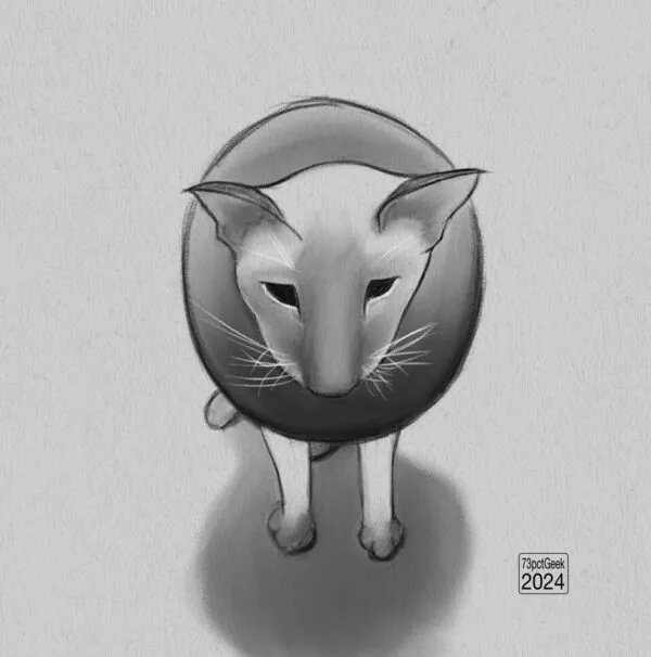 Digital graphite sketch of a cat with a floatie collar around its neck.