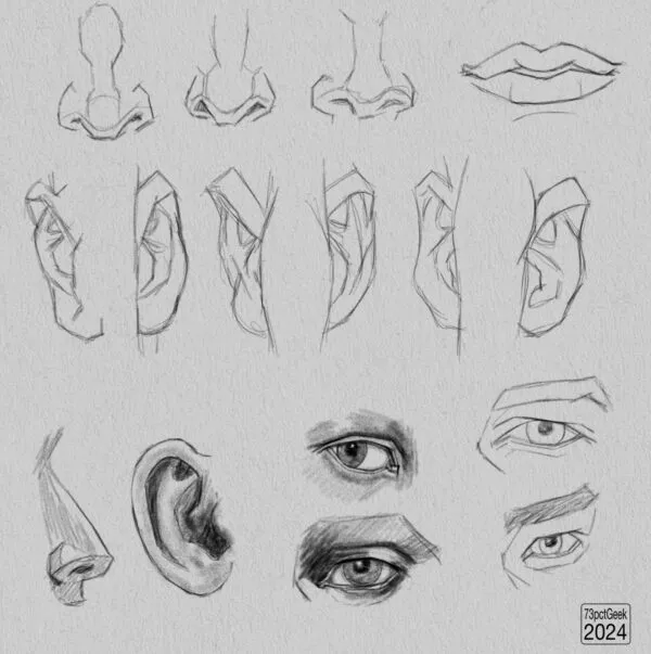 Digital graphite studies of 4 individual eyes, 7 different ears, a mouth, and 4 noses.