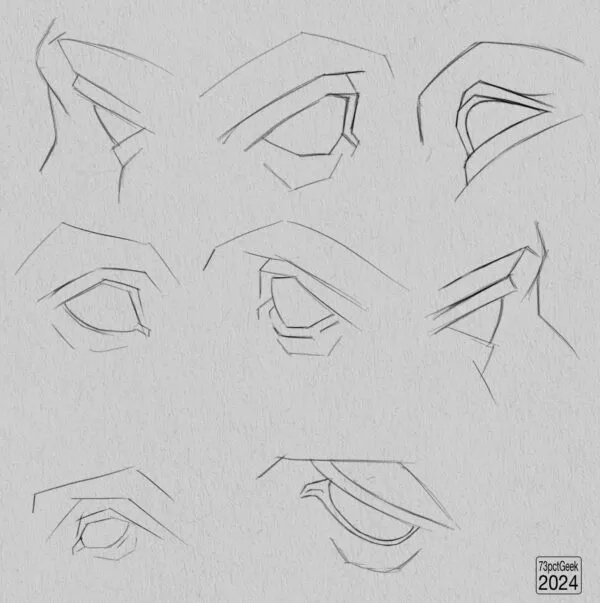 8 digital line art graphite studies of an eye.