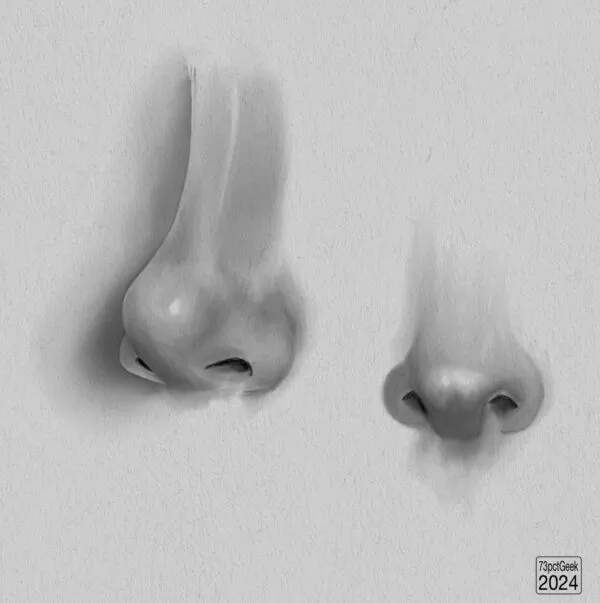 Digital pencil studies of two different noses.