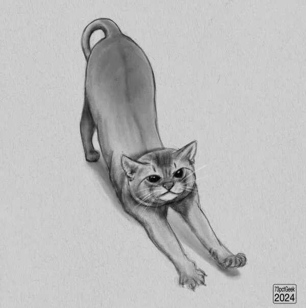 Digital sketch of a cat stretching.