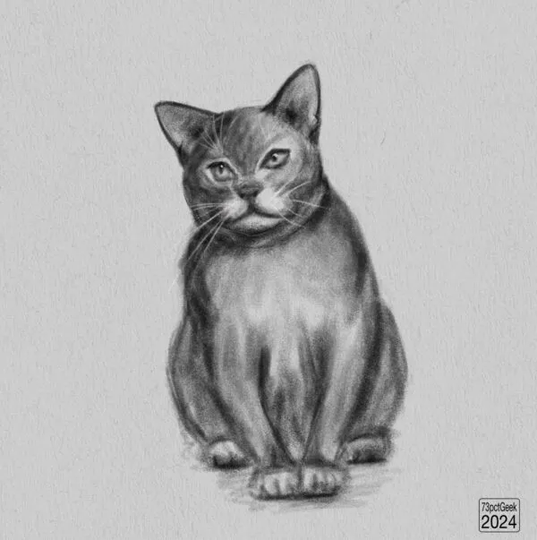 Digital sketch of a cat sitting facing the viewer.