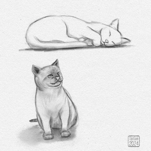 Digital graphite sketches of two different cats, one sitting, and one lying with eyes closed.