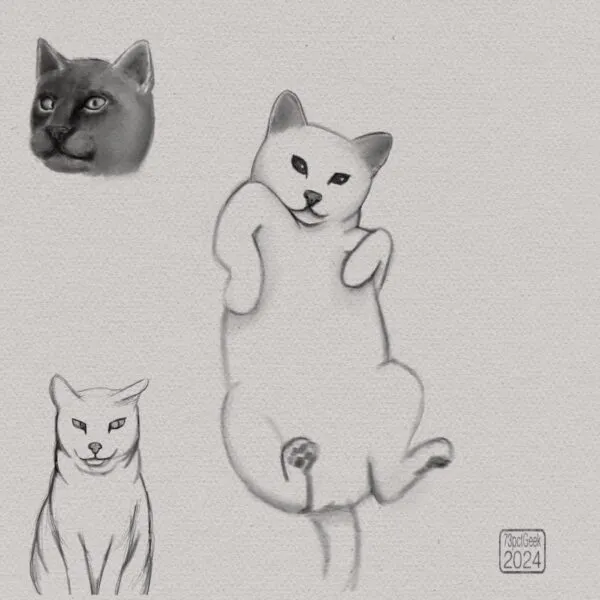 Digital sketches of three different cats.