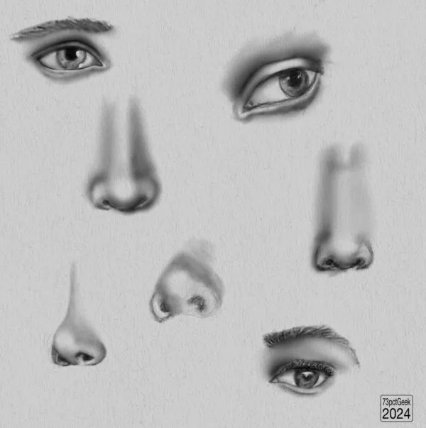 Digital graphite studies of four different noses and three different eyes.