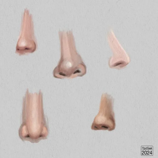 Digital studies of five different noses.