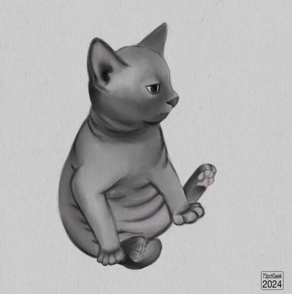 Digital study of a grey kitten sitting on its butt, exposing its tummy.