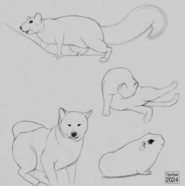 Digital pencil sketches of a dog, a squirrel, a guinea pig and a cat washing its belly.