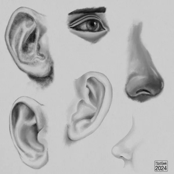 Digital pencil sketches of 3 different ears, 2 different noses in profile, and an eye.