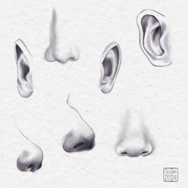 Digital graphite studies of four different noses and three different ears.