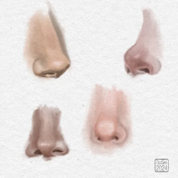 Digital studies of four different noses.