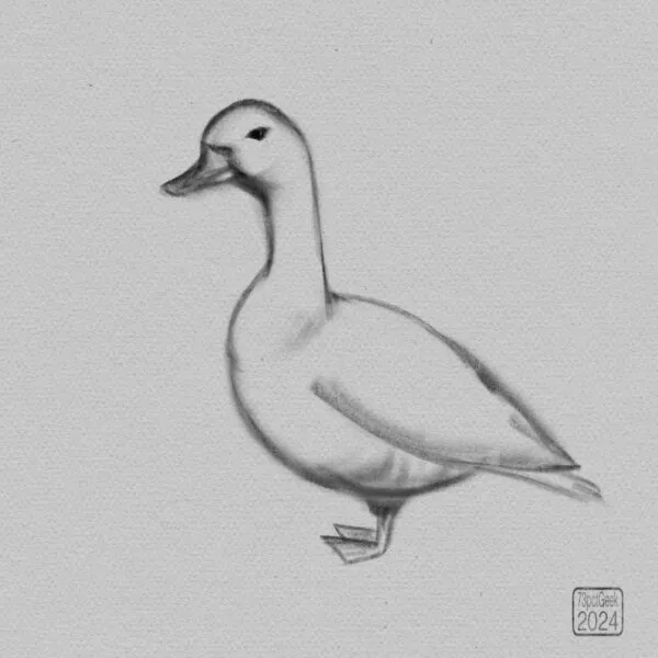 Digital graphite sketch of a goose.