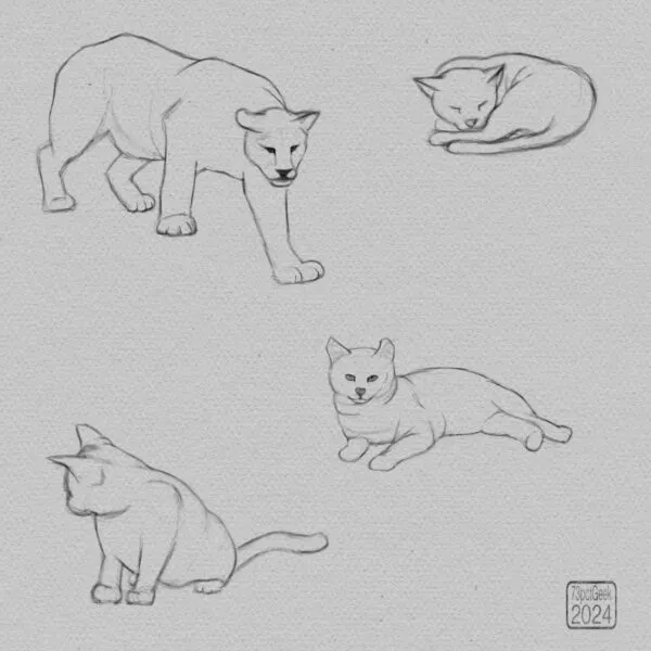 Digital graphite sketches of one puma, and three different cats. 