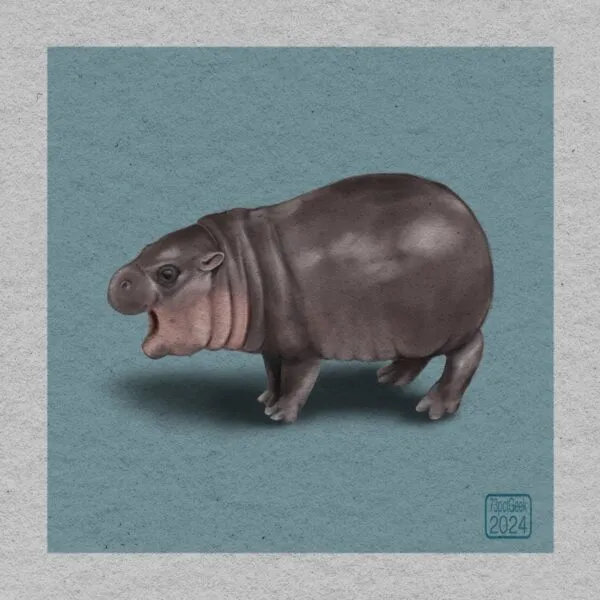 Digital painting of a pygmy hippo against a blue backdrop. 