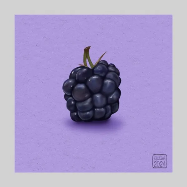 Digital painting of a single blackberry against a lilac background. 