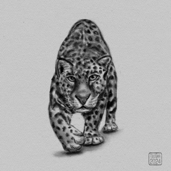 Digital graphite sketch of a leopard stalking towards the viewer.