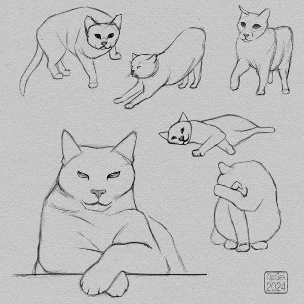 Digital sketches of 6 different house cats in varying poses.