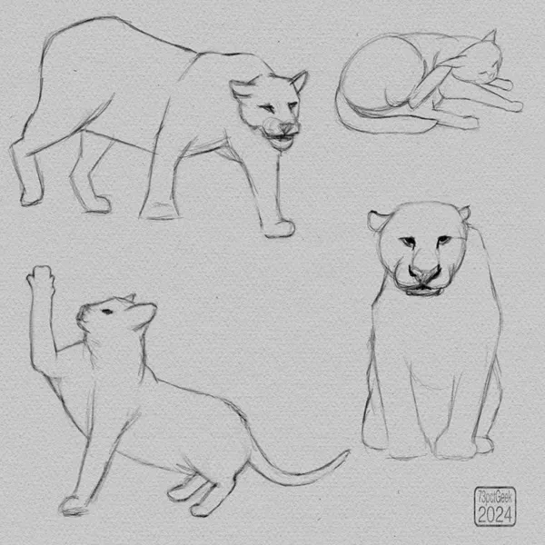 Quick digital sketches of 2 different house cats, and 2 different big cats in varying poses.