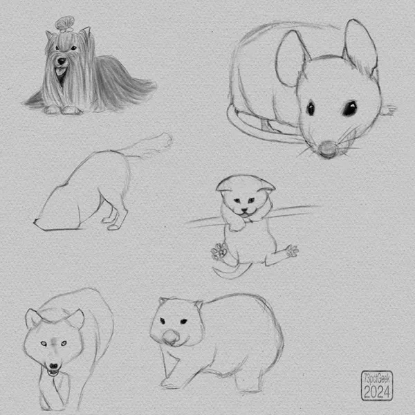 Quick digital sketches of a Yorkshire terrier, a mouse, a kitten hanging onto a rope, a wolf approaching the viewer, a wombat and a dog, half obscured by the hole its digging.