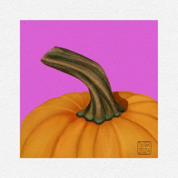 Digital gouache painting of the top of an orange pumpkin and its stem, against a pink backdrop.