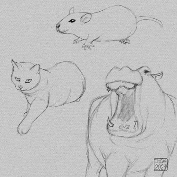 Quick sketchy digital drawings of a mouse, a house cat, and a hippo.