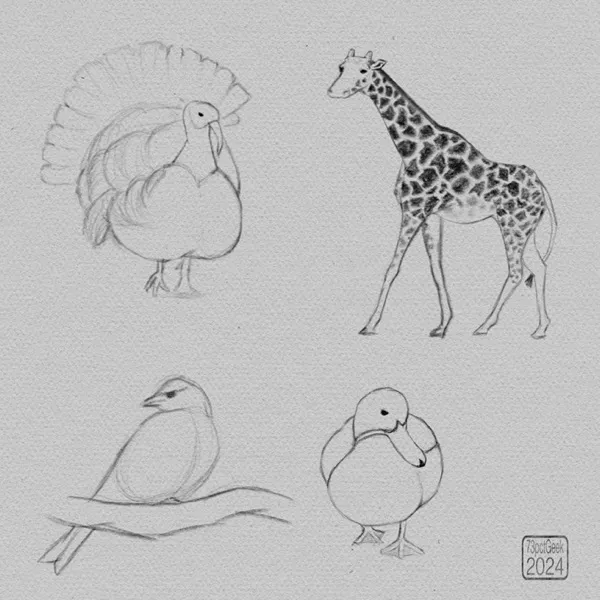 Digital sketches of a turkey, a duck, a songbird, and a giraffe.
